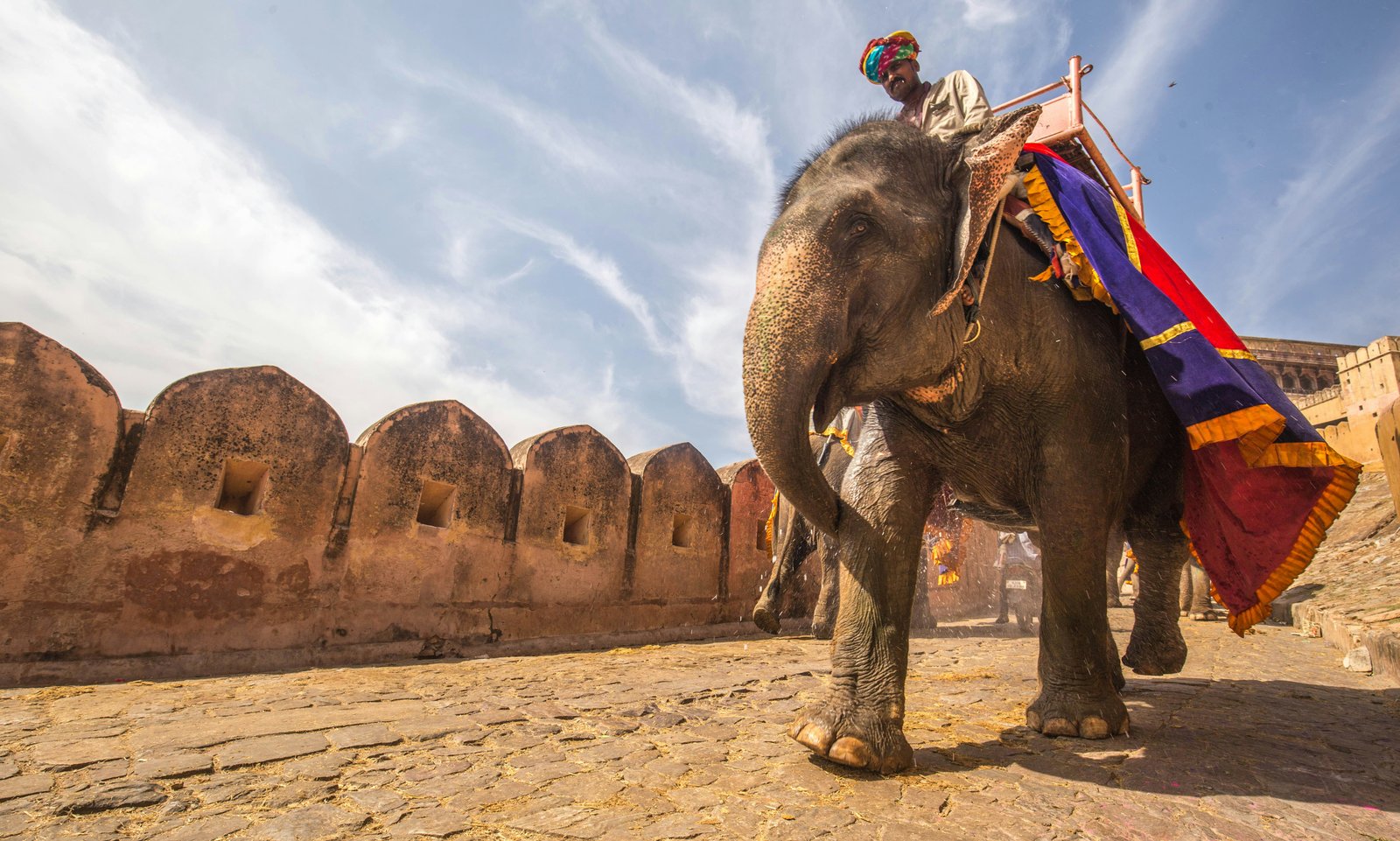 The Grand Rajputana Trail: A Journey Through India’s Royal Heartland